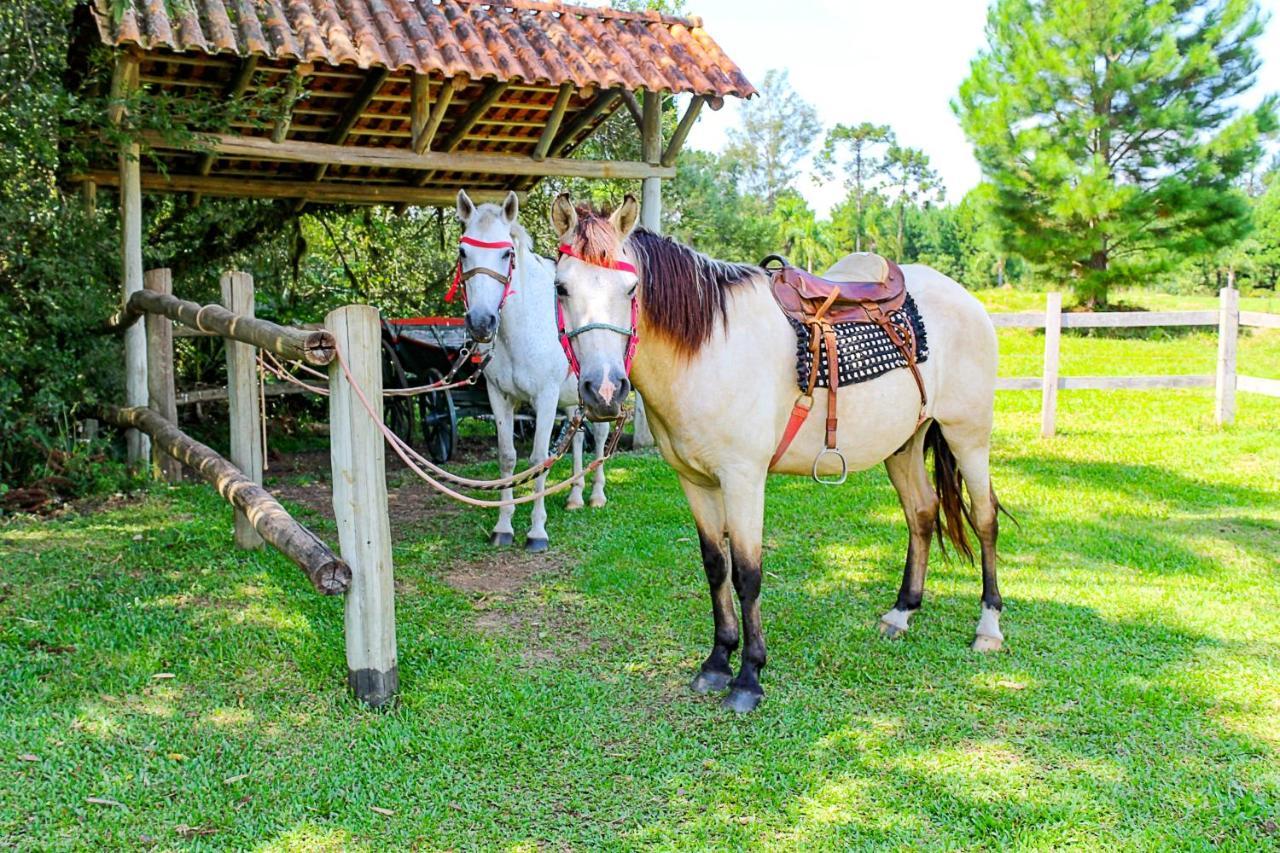 Ozera Fazenda 3* Prudentopolis